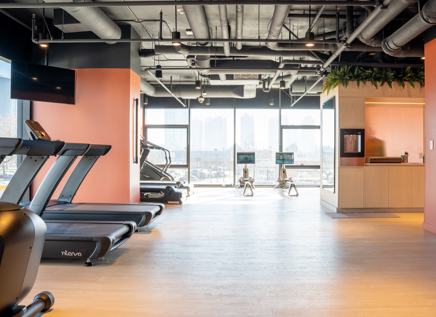 Premium gym equipment in a Fit22 facility