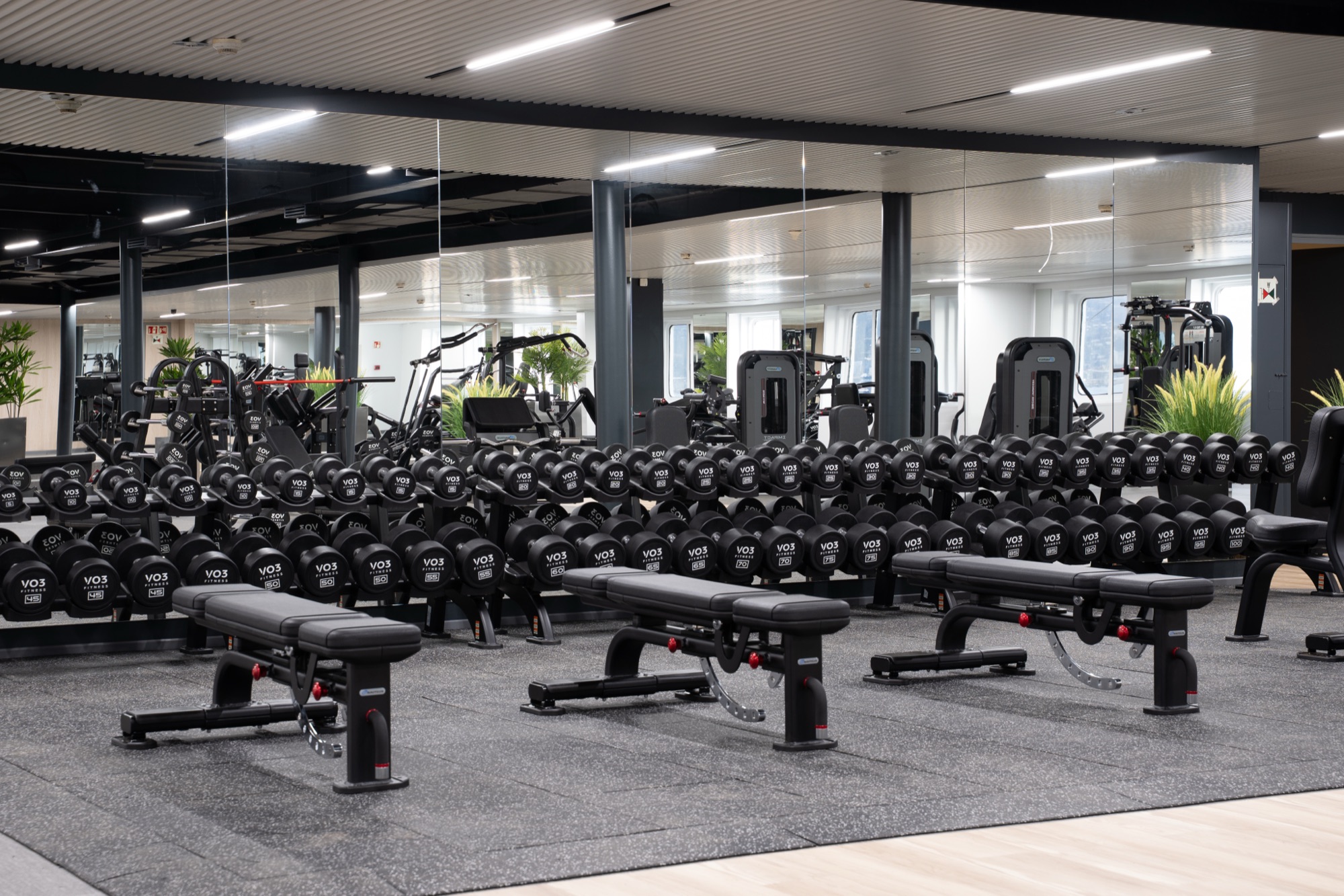 Commercial fitness facility outfitted by Fit22