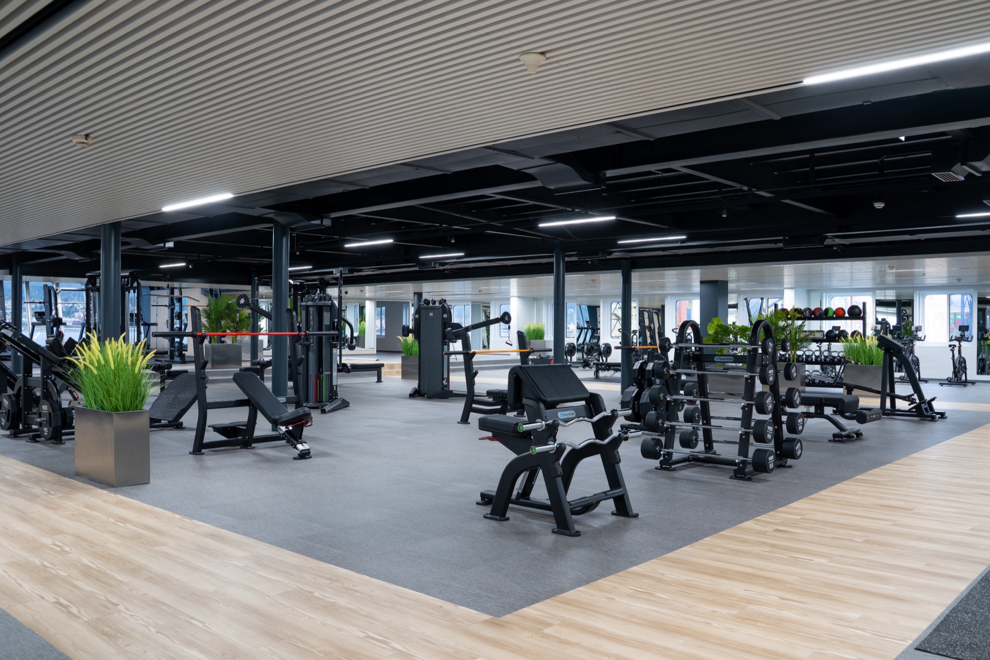 Premium gym equipment in a Fit22 facility