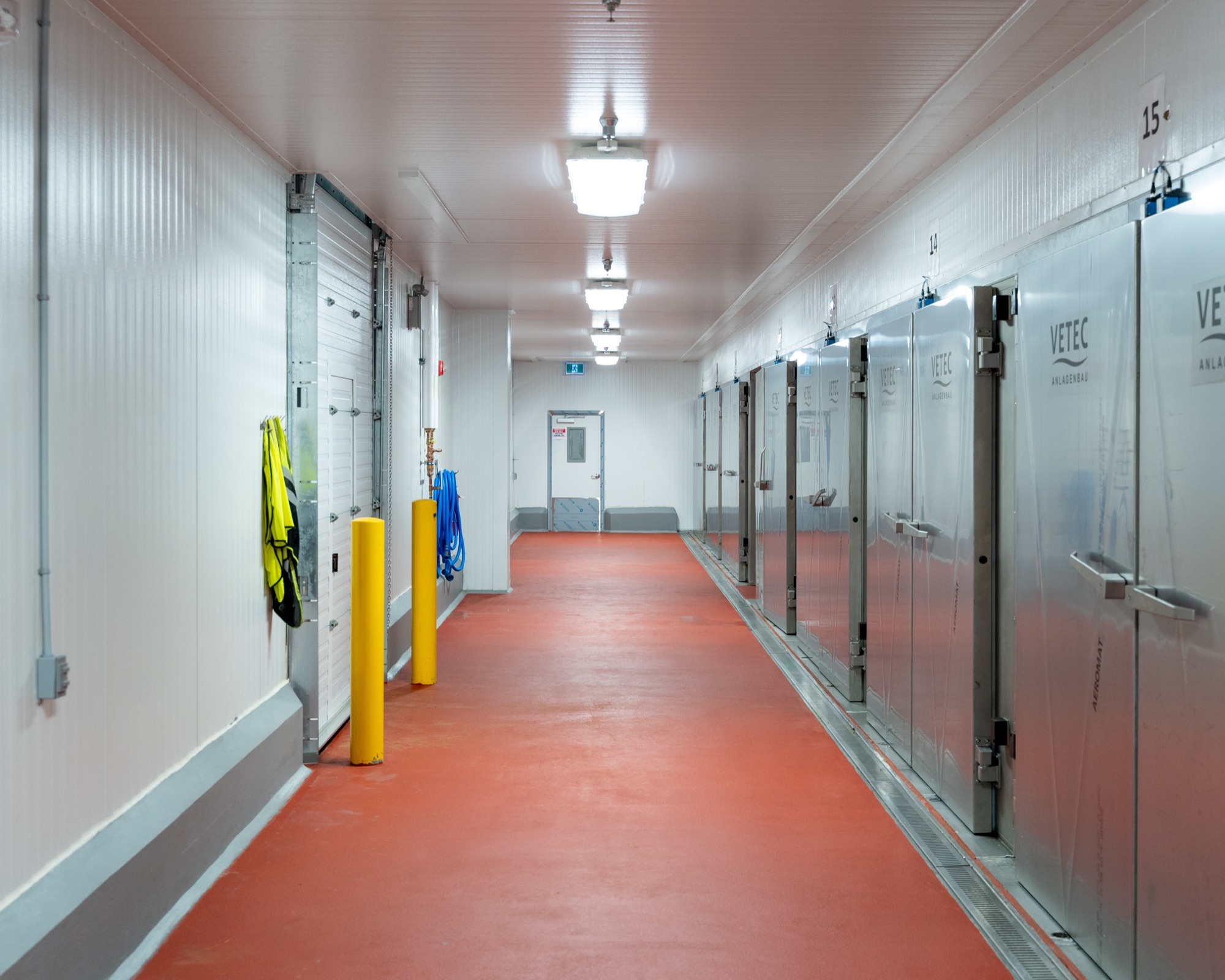 Cold storage corridor lined with freezer doors